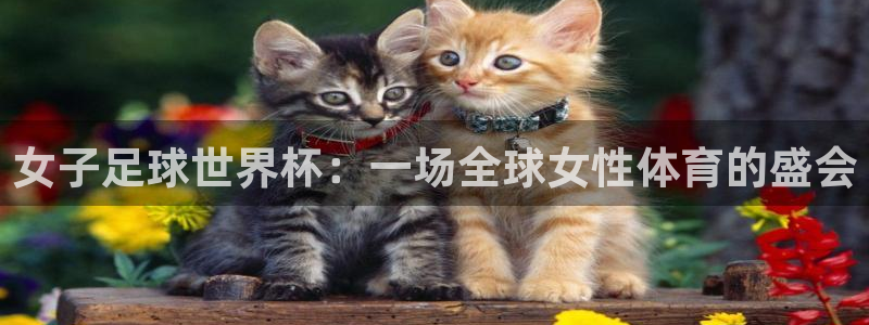 美国世界杯：女子足球世界杯：一场全球女性体育的盛会