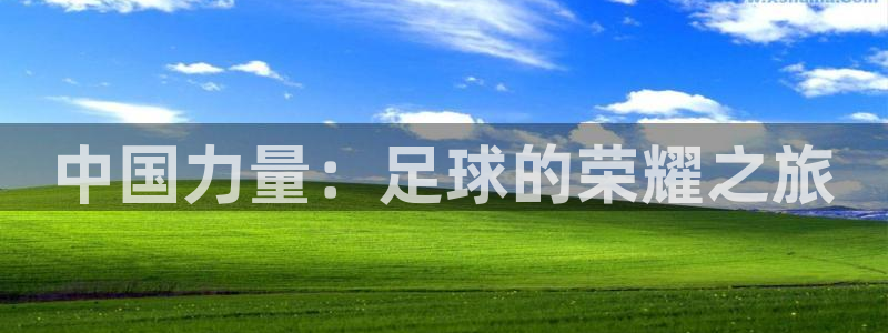 2026年世界杯：中国力量：足球的荣耀之旅
