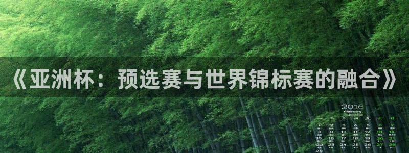 世界杯预赛赛程：《亚洲杯：预选赛与世界锦标赛的融合》
