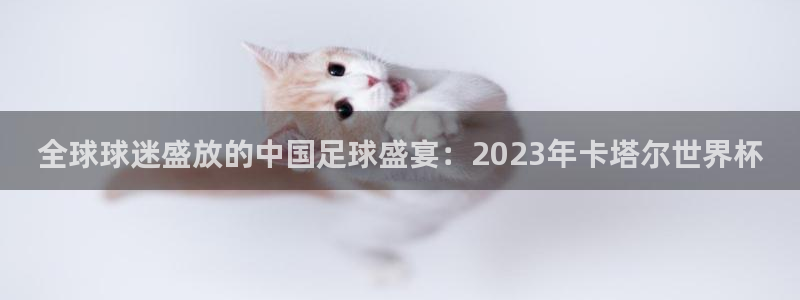 世界杯女足直播：全球球迷盛放的中国足球盛宴：2023年卡塔尔世界杯