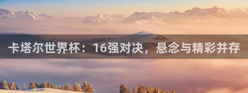 2026世界杯直播免费观看:卡塔尔世界杯:16强对决,悬念与精彩并存