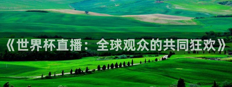 2006年世界杯冠军：《世界杯直播：全球观众的共同狂欢》