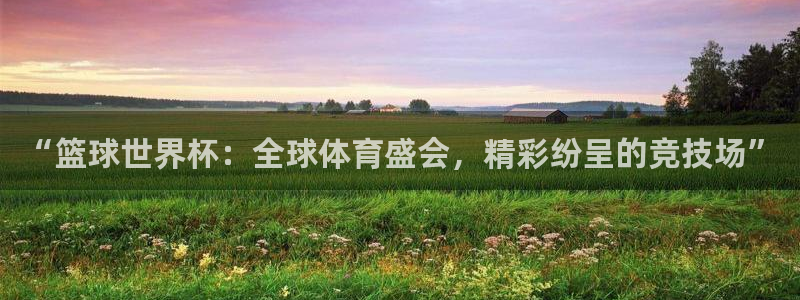 2026年世界杯赛程：“篮球世界杯：全球体育盛会，精彩纷呈的竞技场”
