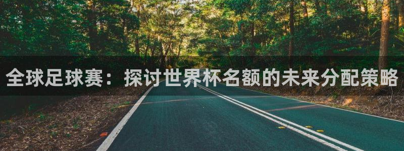 世界杯亚洲区预选赛积分榜：全球足球赛：探讨世界杯名额的未来分配策略