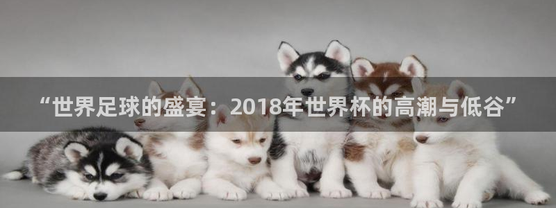 世界杯女足直播：“世界足球的盛宴：2018年世界杯的高潮与低谷”