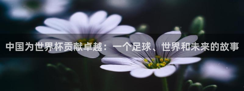 世界杯足球：中国为世界杯贡献卓越：一个足球、世界和未来的故事