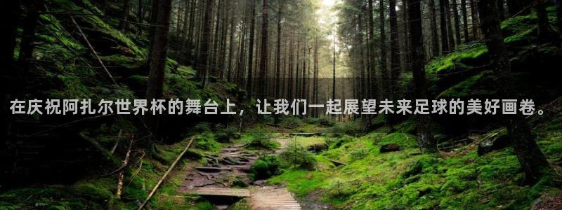 世界杯对阵表：在庆祝阿扎尔世界杯的舞台上，让我们一起展望未来足球的美好画卷。