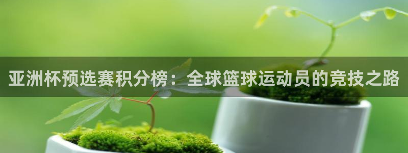 2026世界杯中国队：亚洲杯预选赛积分榜：全球篮球运动员的竞技之路