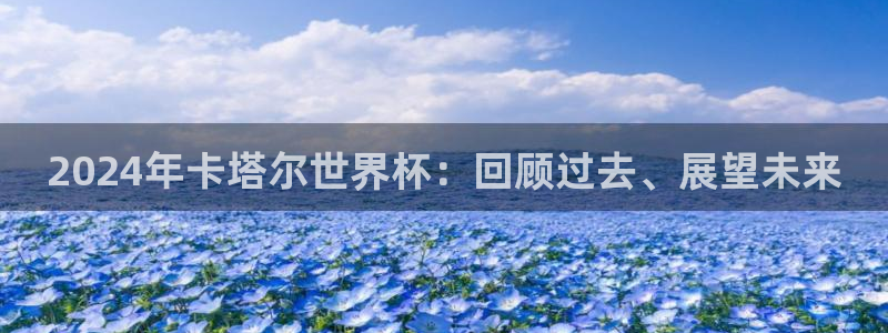 世界杯直播观看：2024年卡塔尔世界杯：回顾过去、展望未来