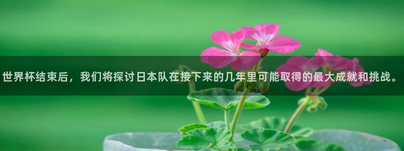 世界杯决赛直播：世界杯结束后，我们将探讨日本队在接下来的几年里可能取得的最大成就和挑战。